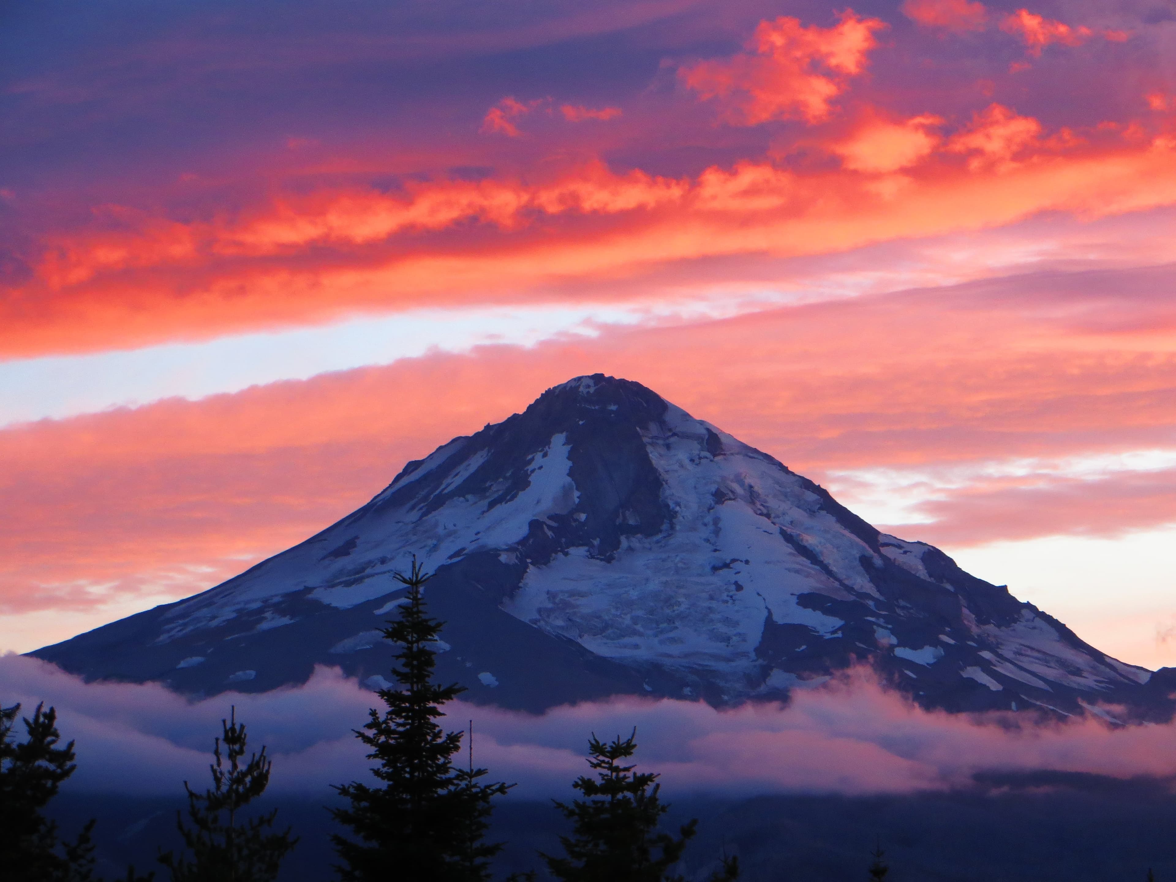 Mt. Hood